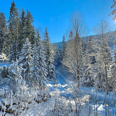 Haus Widmann Scheffau am Wilden Kaiser Exterior foto